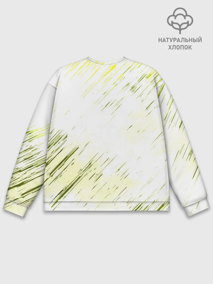 Мужской свитшот базовый / Windranger