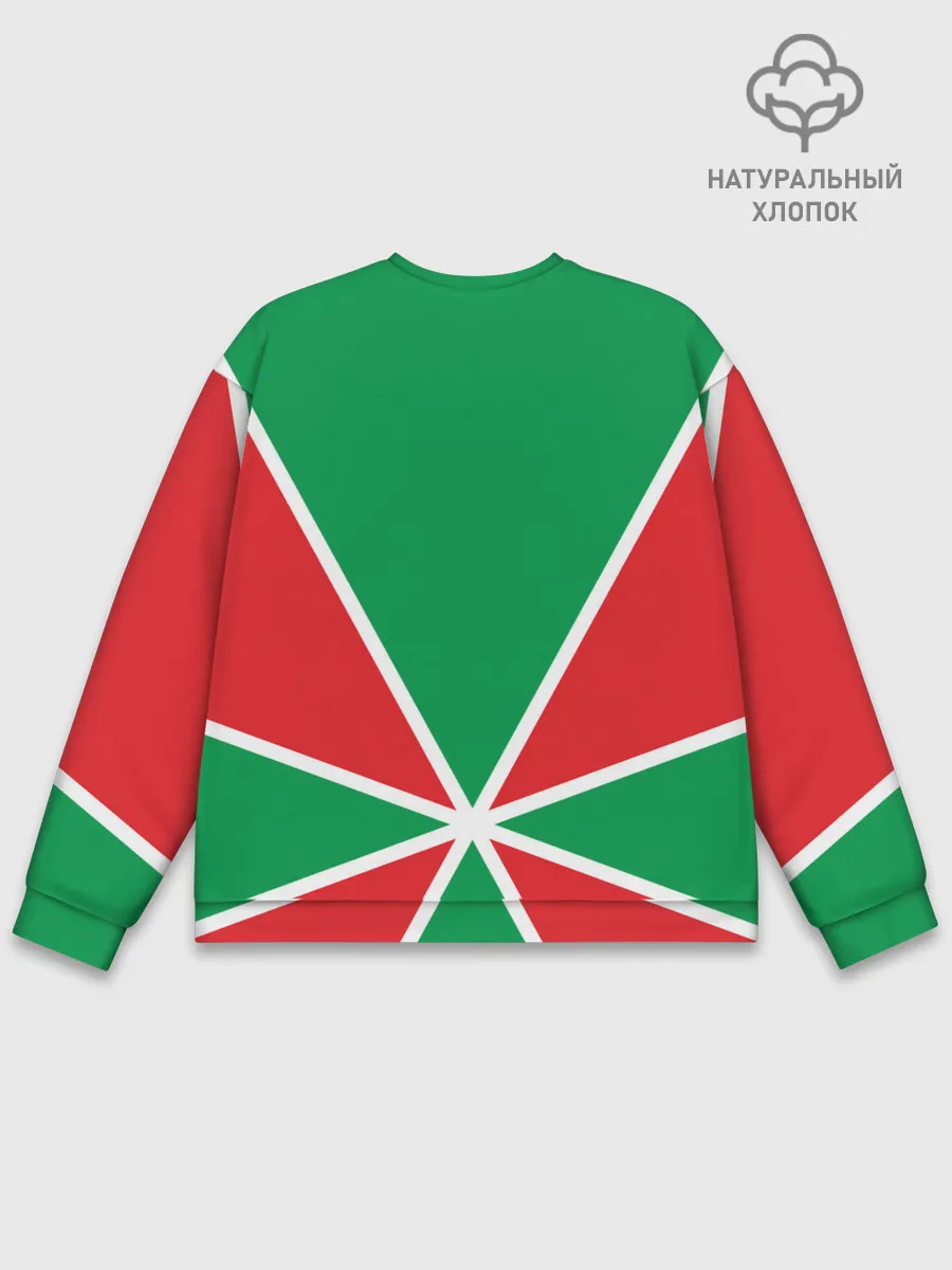 Мужской свитшот базовый / Пограничные Войска