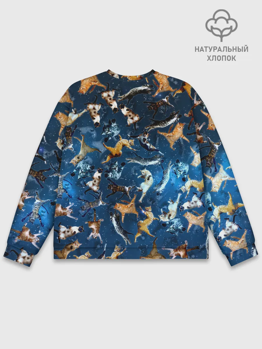 Мужской свитшот базовый / Космические коты