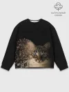Мужской свитшот базовый / Disintegrating Cat