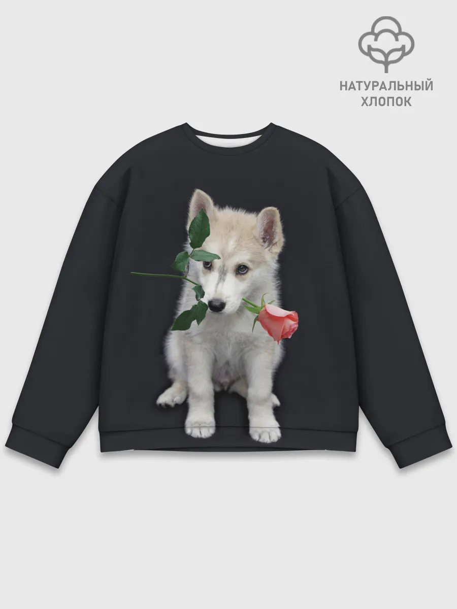 Мужской свитшот базовый / Щенок в подарок