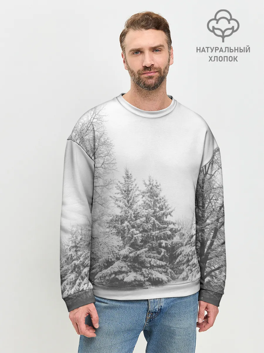 Мужской свитшот базовый / Winter Storm