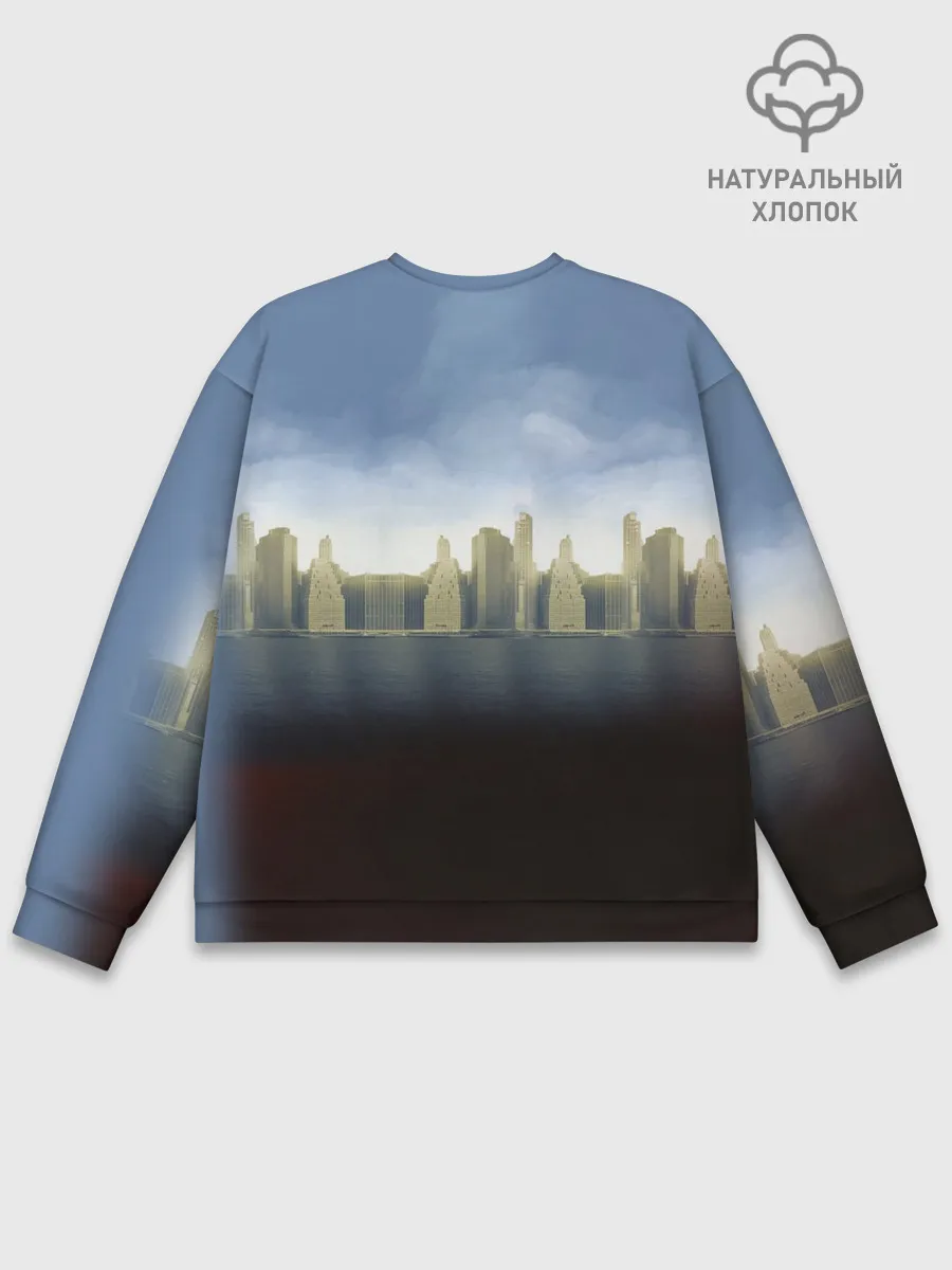 Мужской свитшот базовый / The Division 2