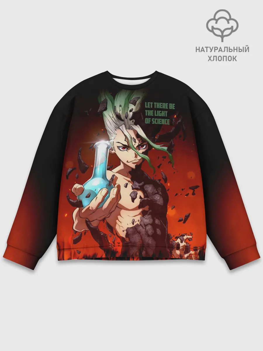 Мужской свитшот базовый / Доктор Стоун