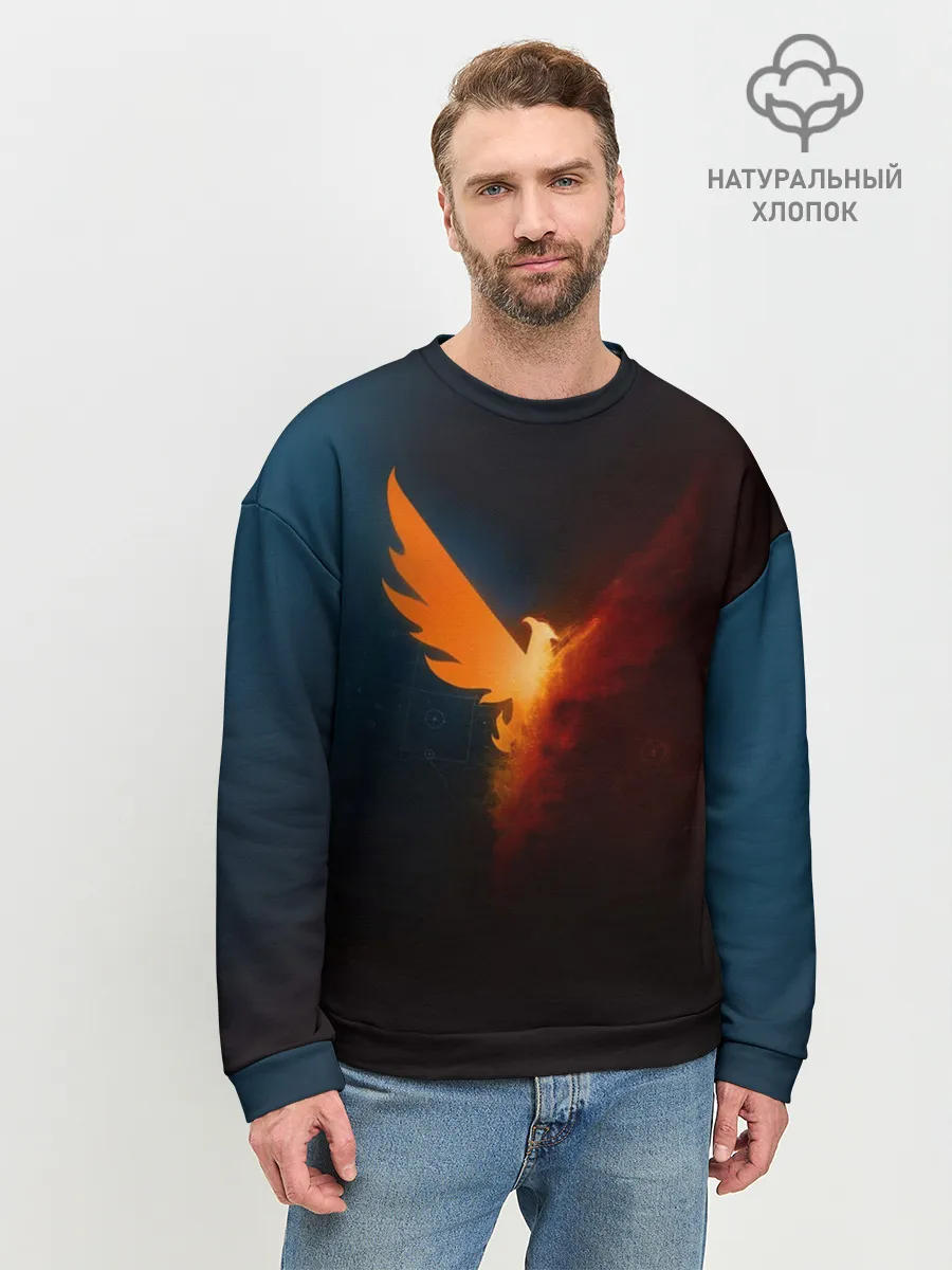 Мужской свитшот базовый / The Division 2