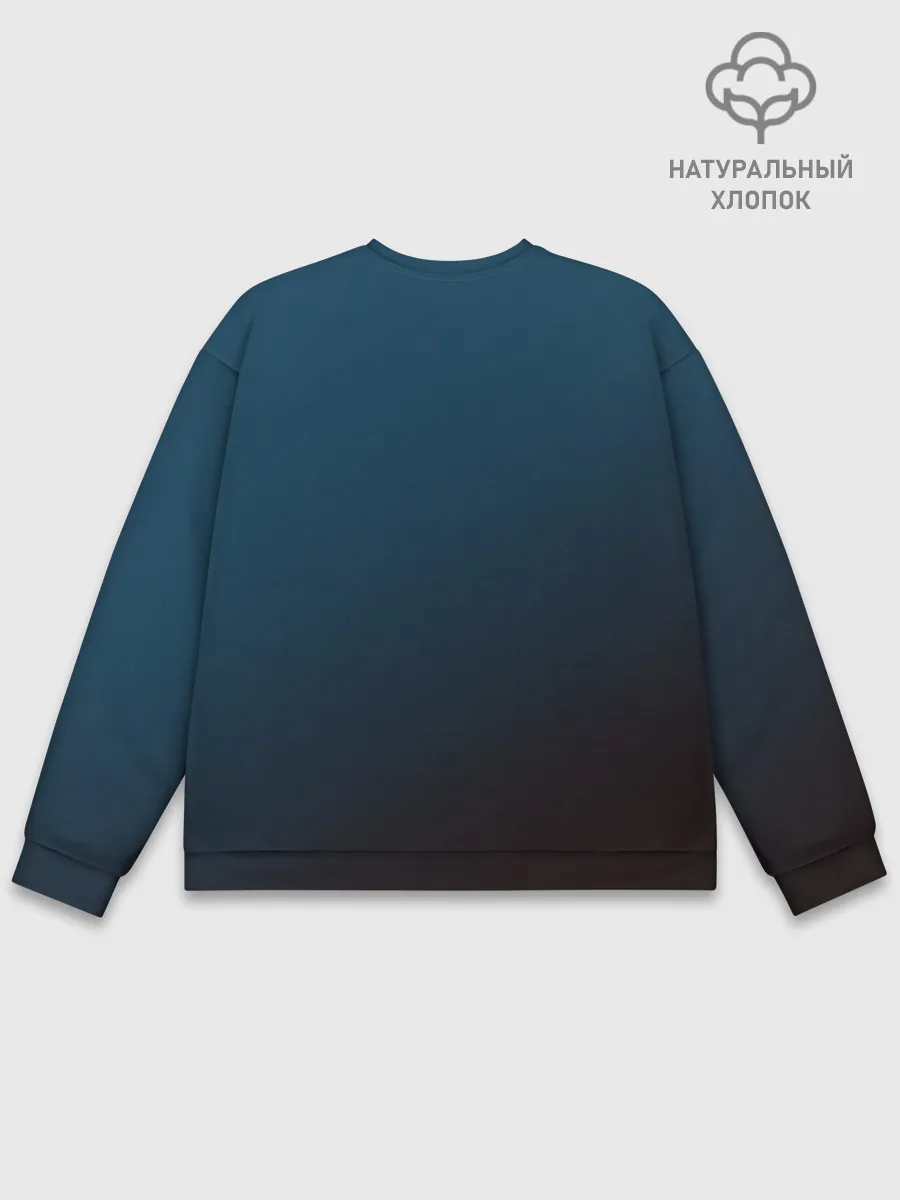 Мужской свитшот базовый / The Division 2