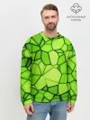 Мужской свитшот базовый / Зеленая мозаика