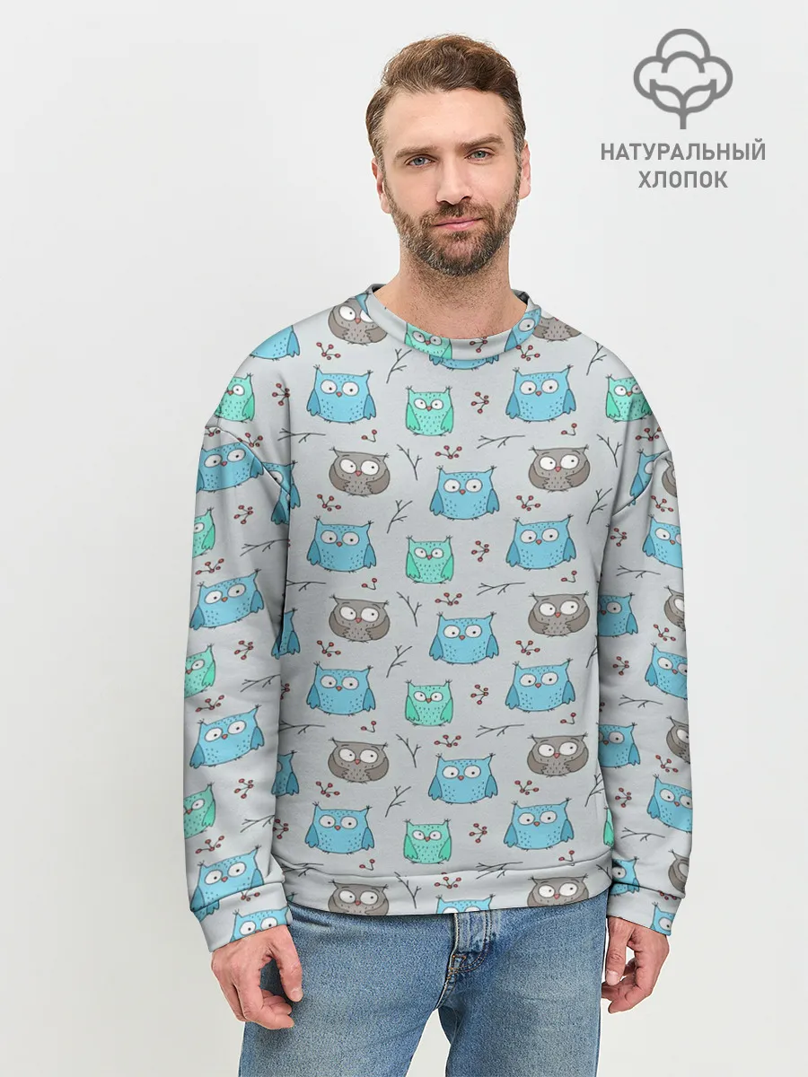 Мужской свитшот базовый / Совята