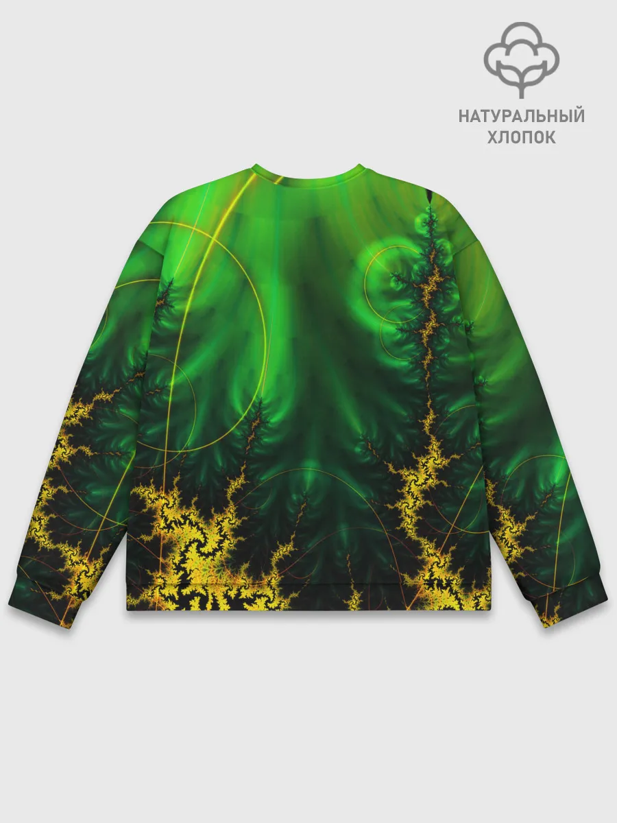 Мужской свитшот базовый / GEOMETRY COLOR