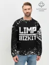 Мужской свитшот базовый / Limp Bizkit