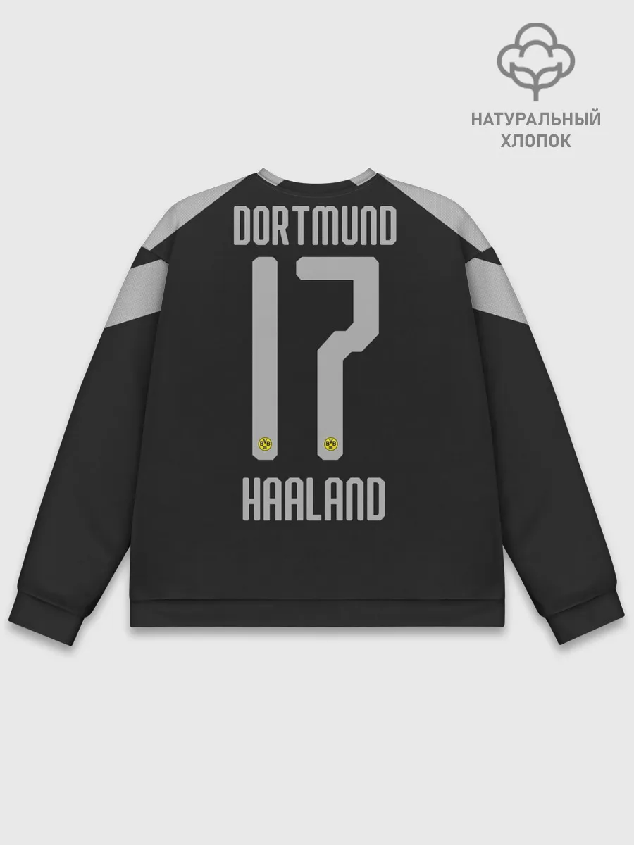 Мужской свитшот базовый / Холанн away 19-20