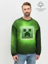Мужской свитшот базовый / MINECRAFT | МАЙНКРАФТ
