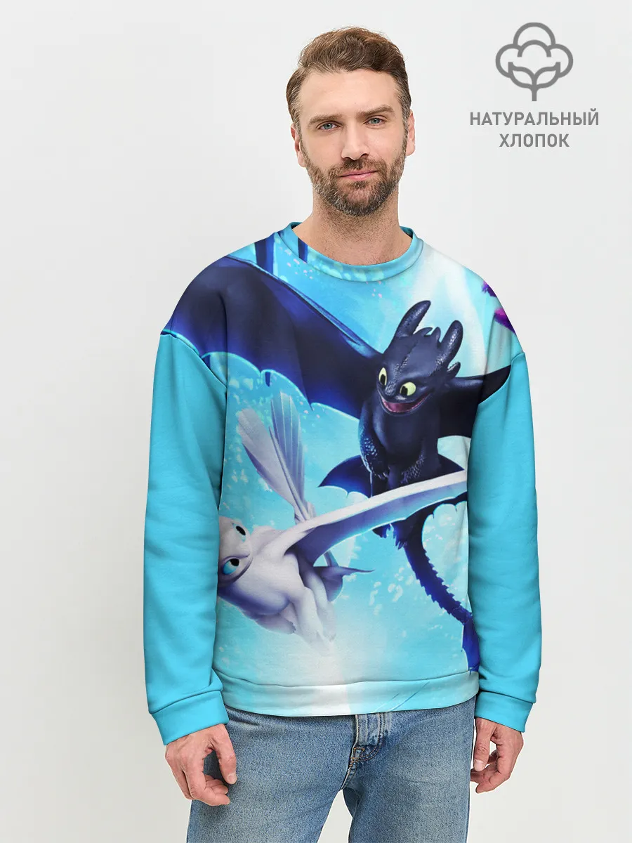 Мужской свитшот базовый / Как приручить дракона