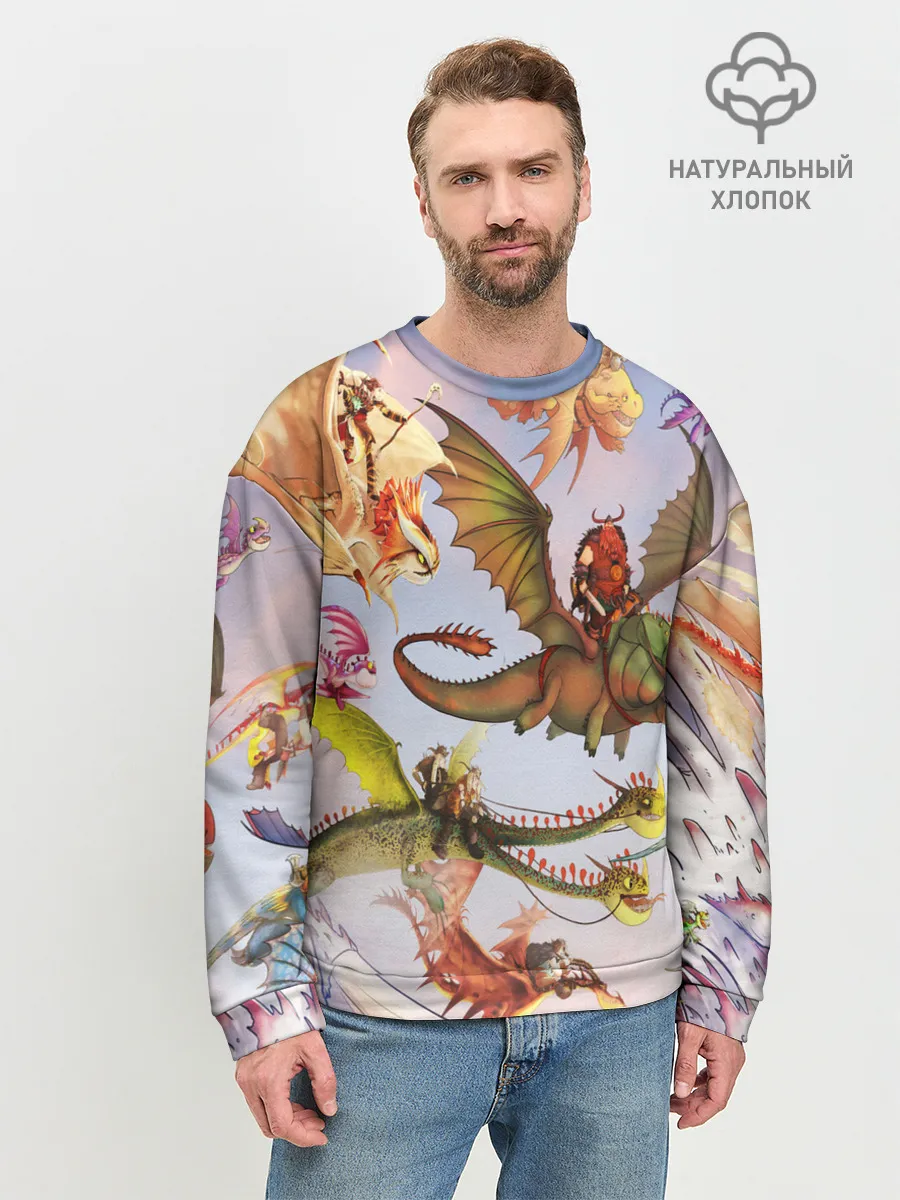 Мужской свитшот базовый / Как приручить дракона
