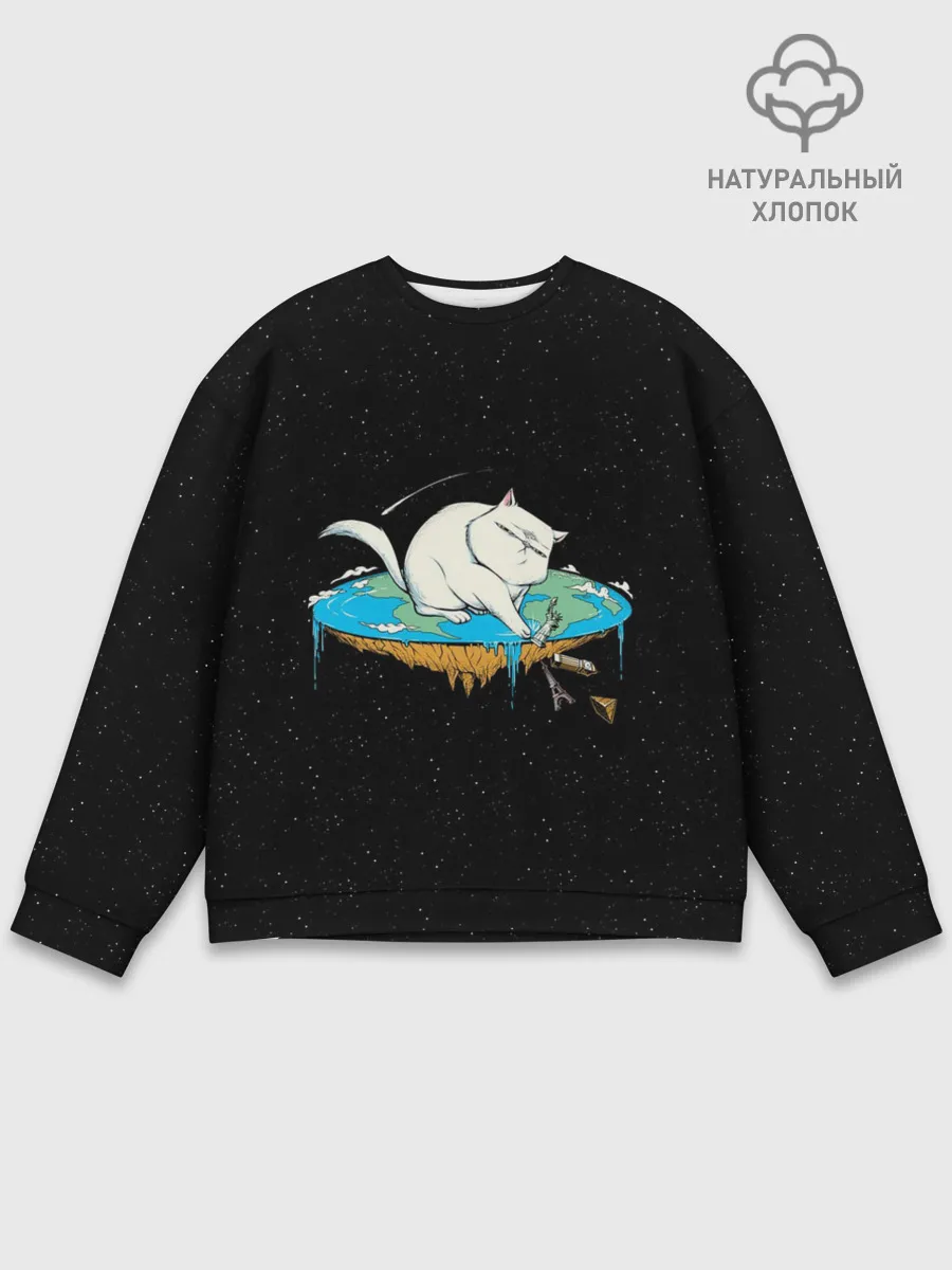 Мужской свитшот базовый / Flat earth Cat