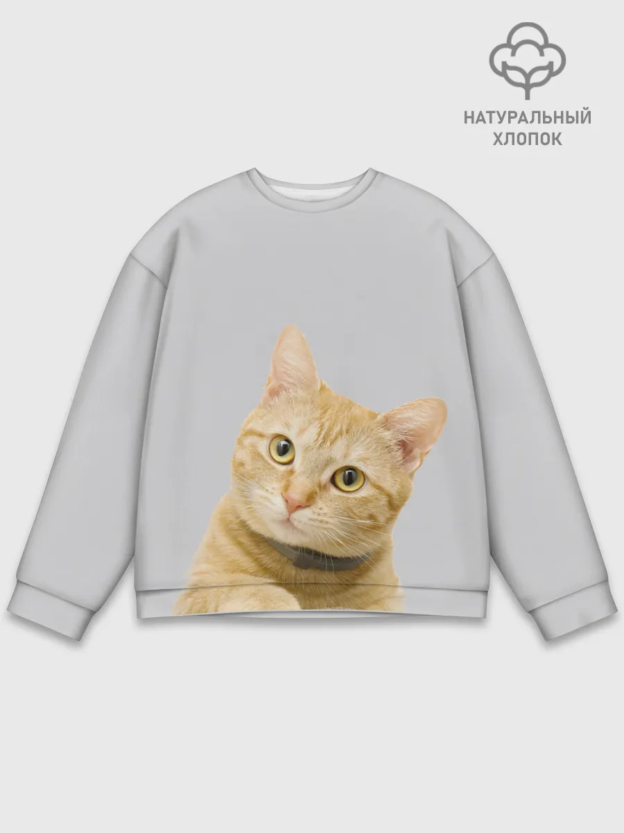 Мужской свитшот базовый / Рыжий котик