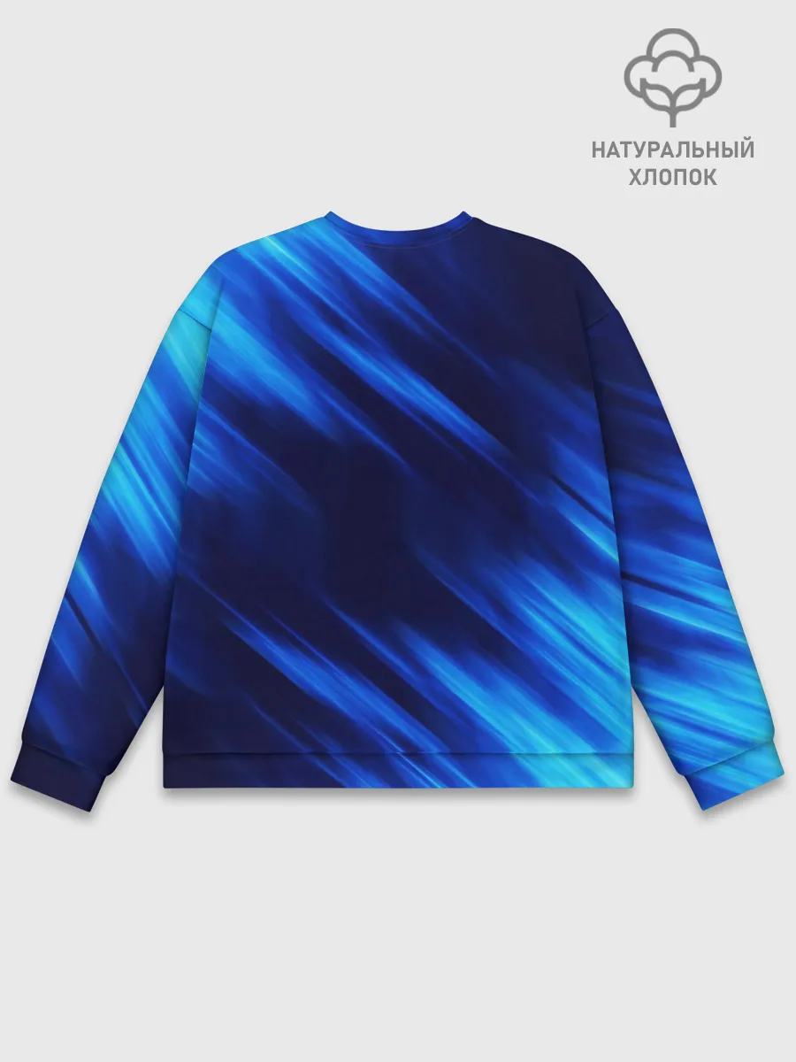 Мужской свитшот базовый / СОНИК