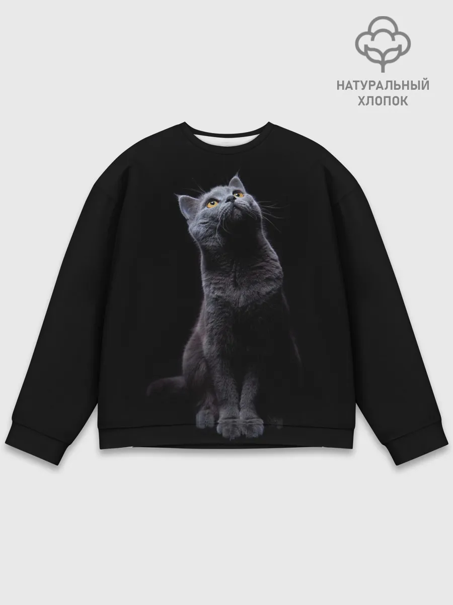 Мужской свитшот базовый / Кот Британец