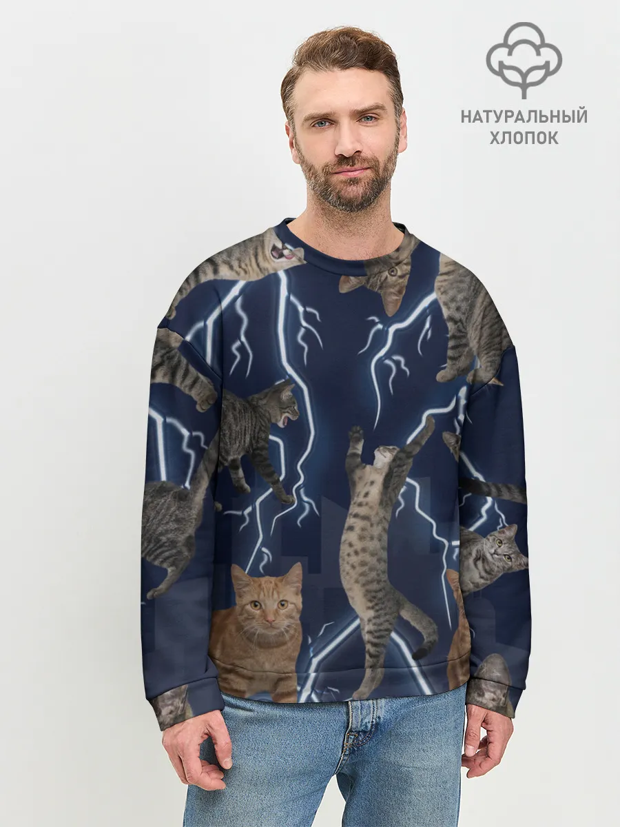 Мужской свитшот базовый / Коты