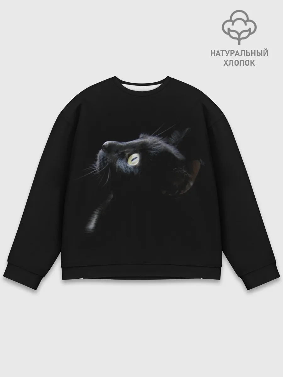 Мужской свитшот базовый / Кот