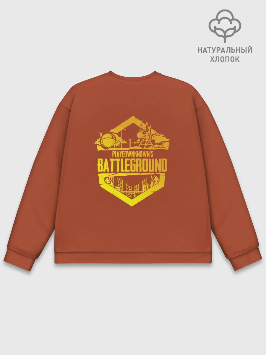 Мужской свитшот базовый / PUBG