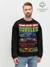 Мужской свитшот базовый / Черепашки ниндзя