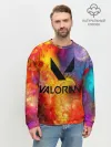 Мужской свитшот базовый / Valorant