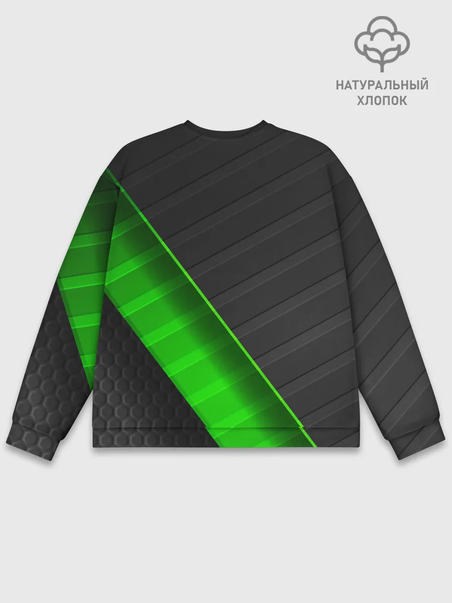 Мужской свитшот базовый / FC Borussia