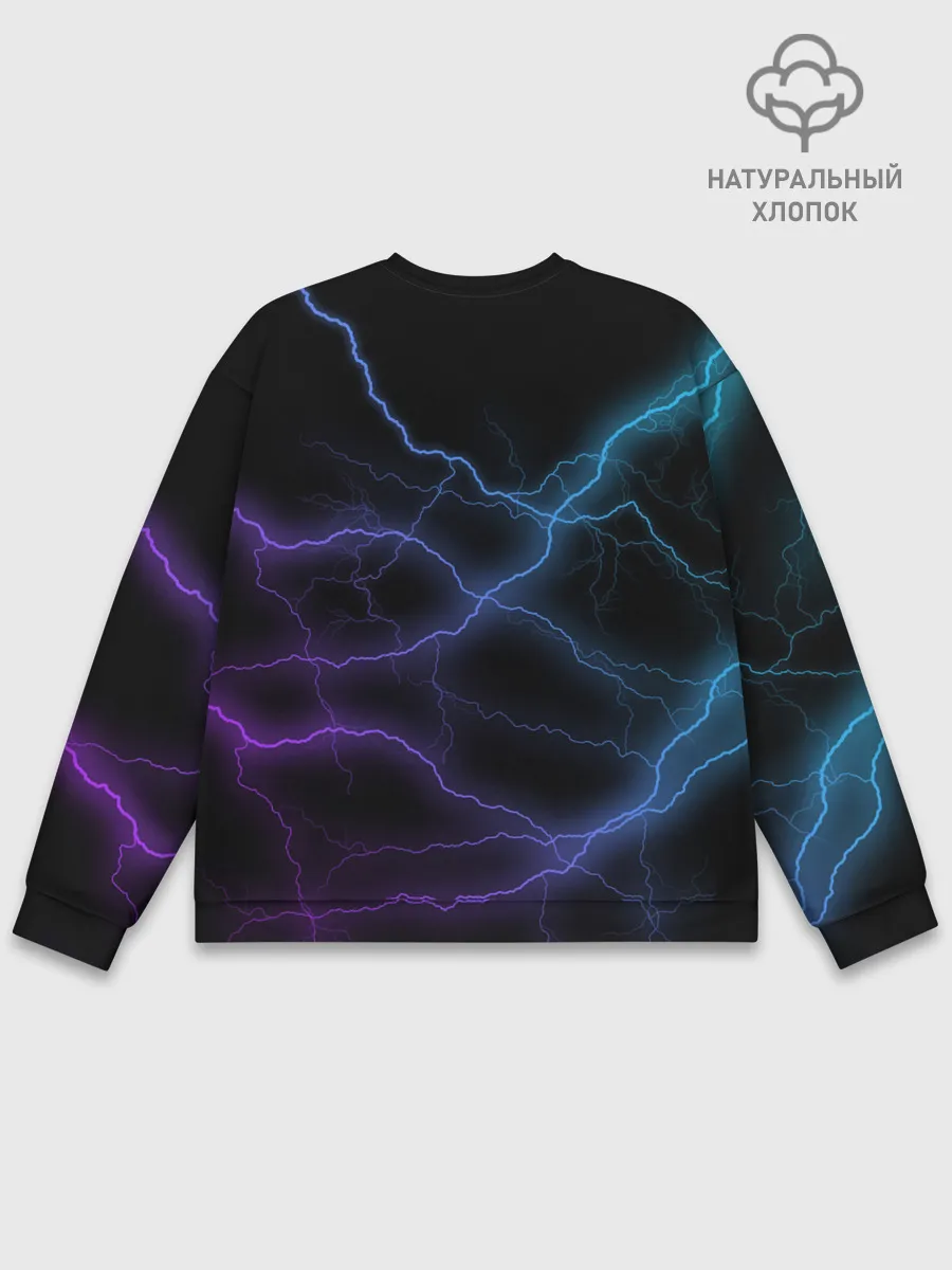 Мужской свитшот базовый / МОЛНИЯ