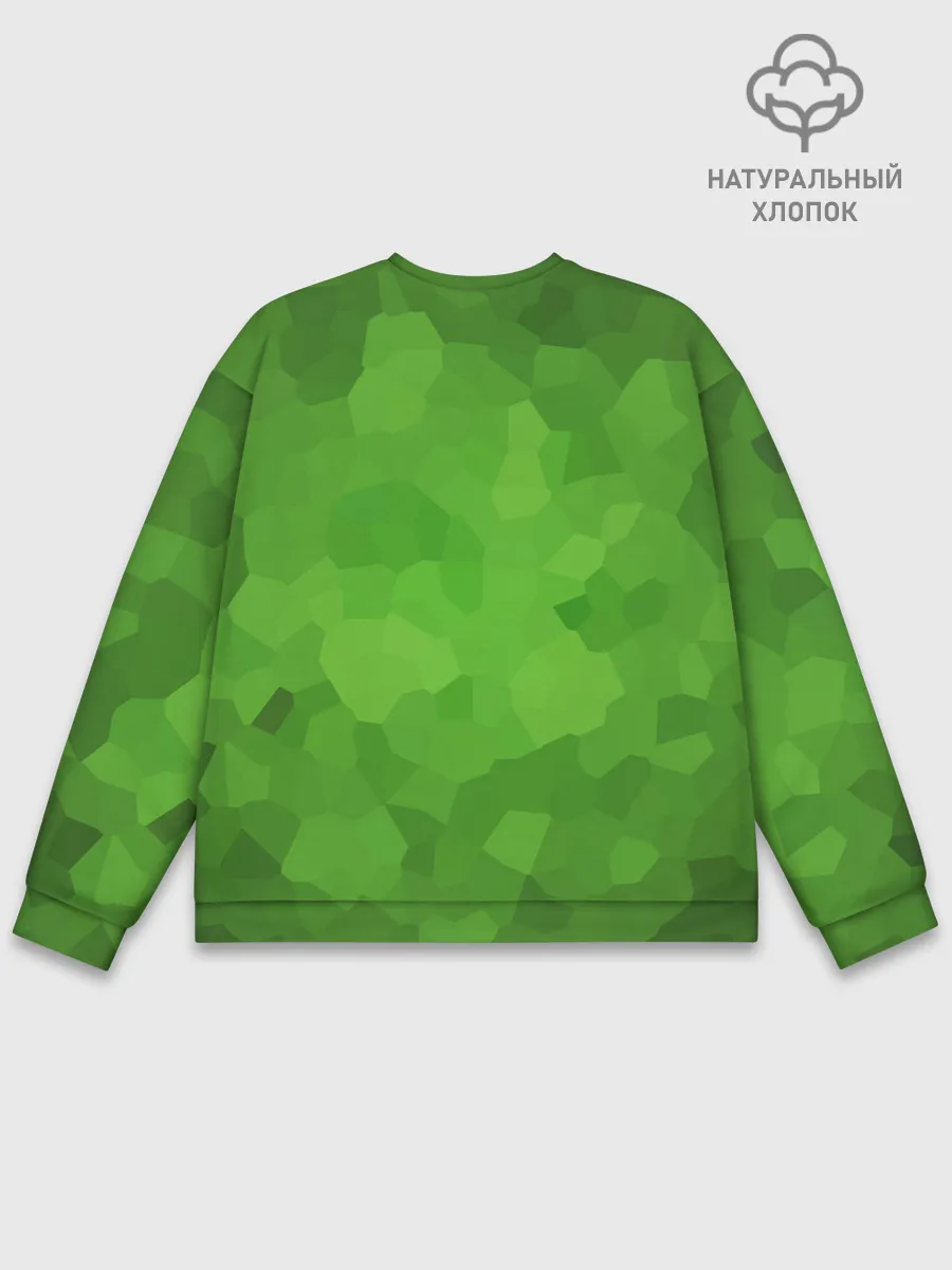 Мужской свитшот базовый / Minecraft