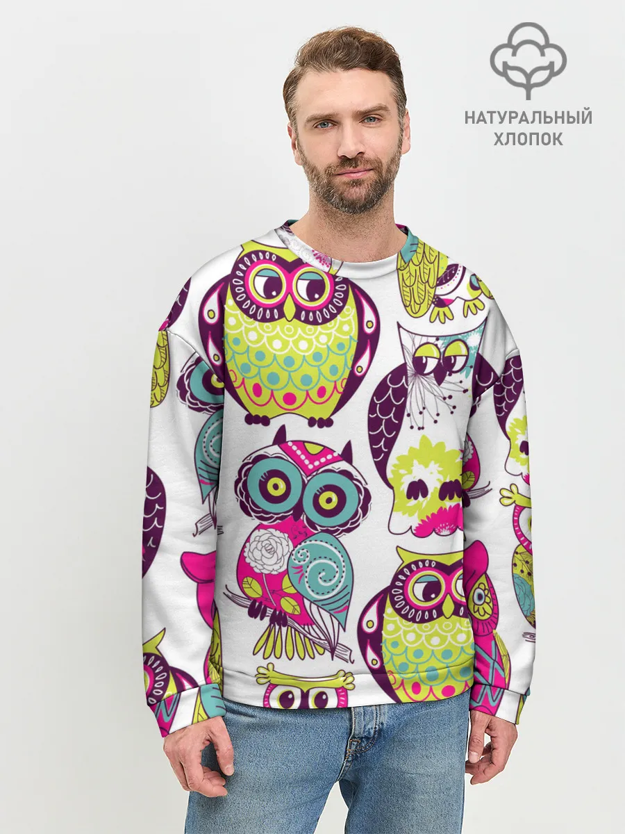 Мужской свитшот базовый / МУДРЫЕ СОВЫ | WISE OWLS