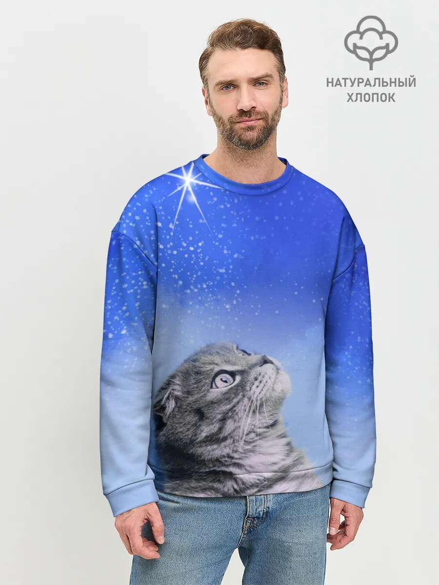 Мужской свитшот базовый / Кот и космос