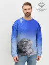 Мужской свитшот базовый / Кот и космос