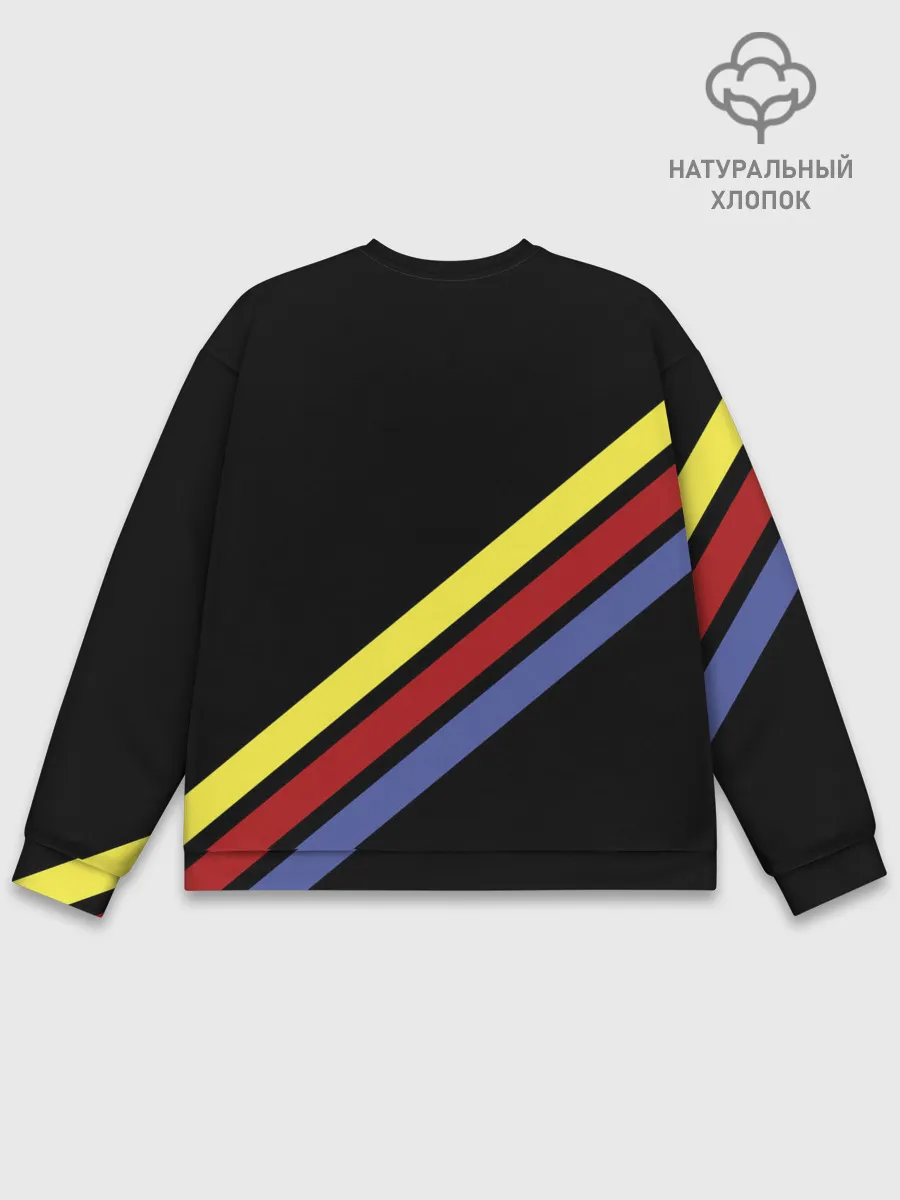 Мужской свитшот базовый / Salomon