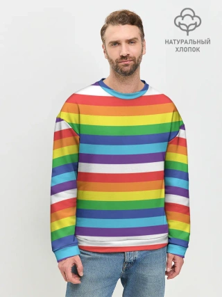 Мужской свитшот базовый / Радужные полосы