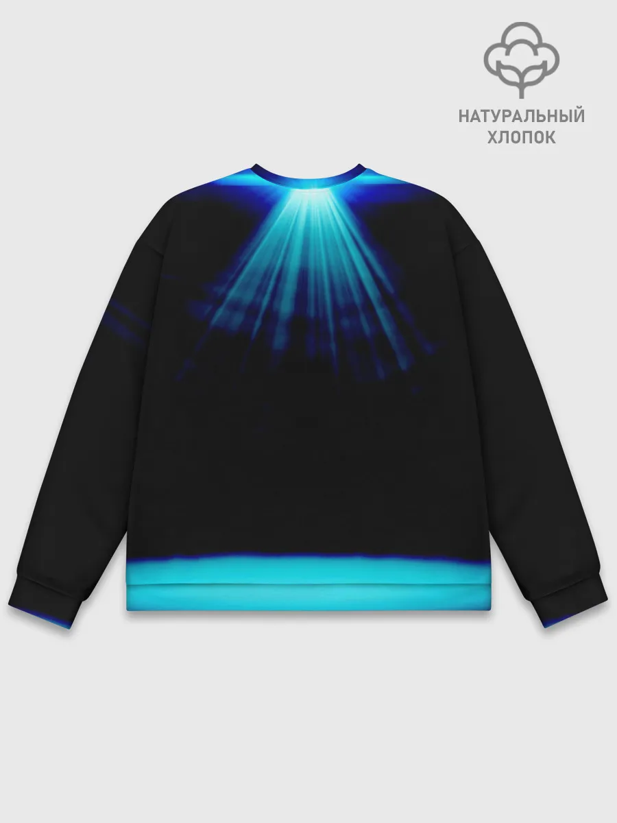 Мужской свитшот базовый / Фреди Меркури