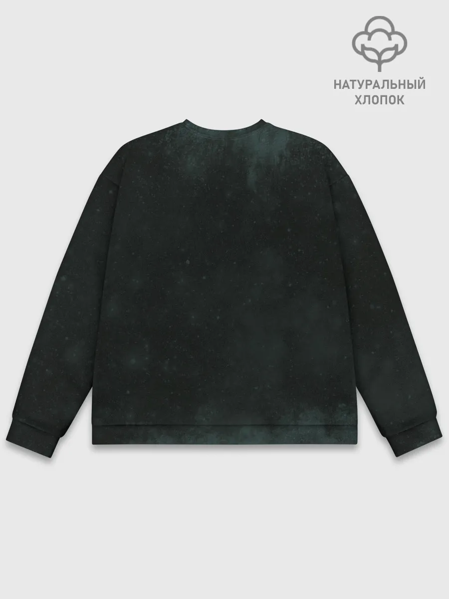 Мужской свитшот базовый / Гарри Поттер