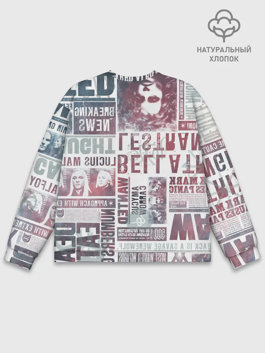 Мужской свитшот базовый / Гарри Поттер