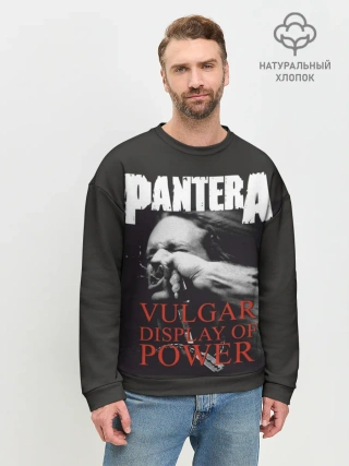 Мужской свитшот базовый / PANTERA VULGAR OF POWER