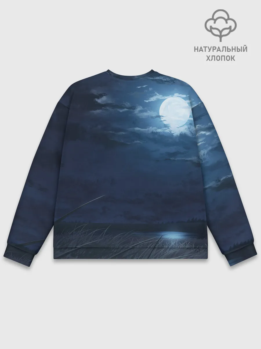 Мужской свитшот базовый / Ночное поле