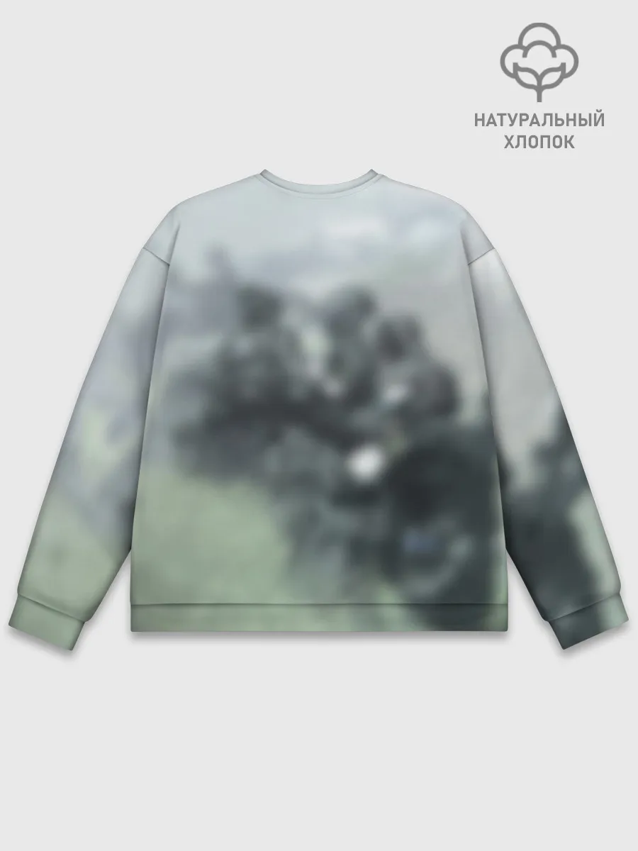 Мужской свитшот базовый / Halo 2