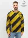 Мужской свитшот базовый / Borussia