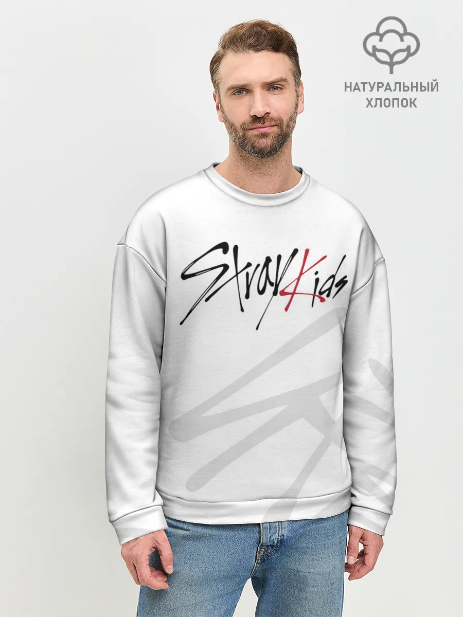 Мужской свитшот базовый / Stray Kids