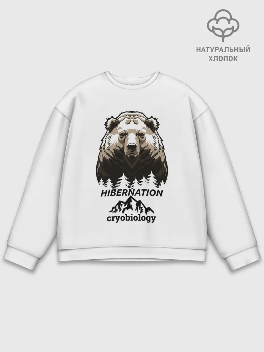 Мужской свитшот базовый / hibernation