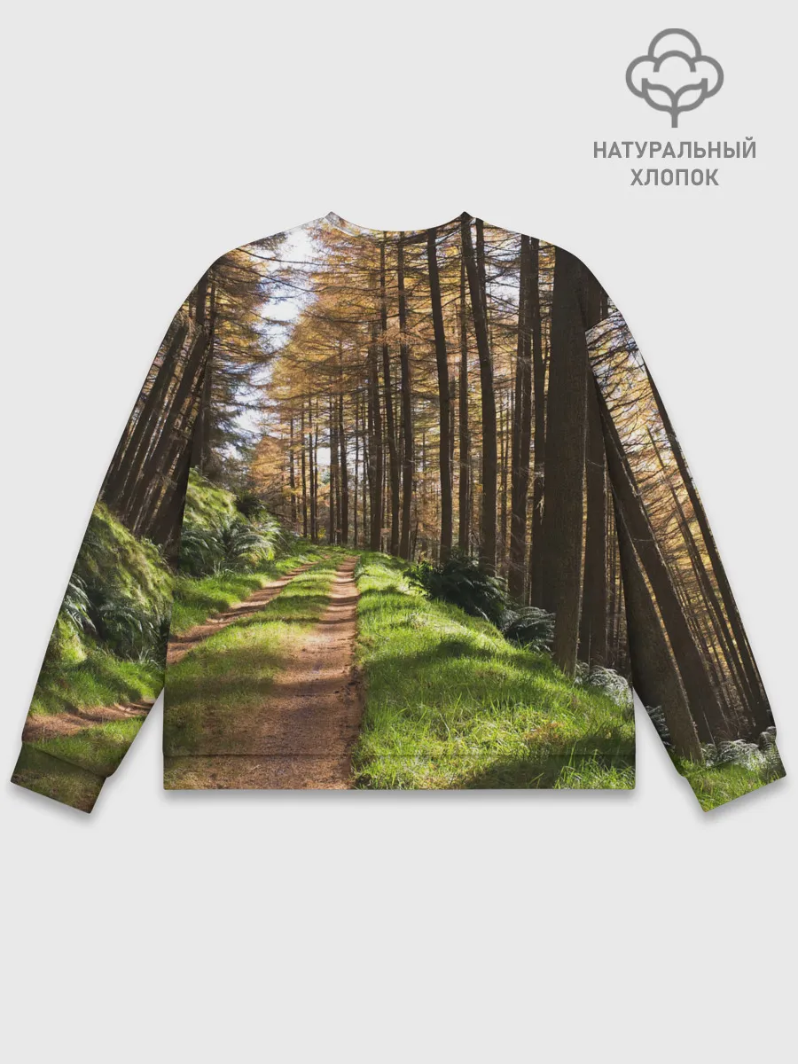 Мужской свитшот базовый / Лес мой храм