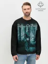 Мужской свитшот базовый / Children of Bodom 14