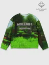 Мужской свитшот базовый / МАЙНКРАФТ