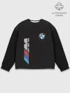 Мужской свитшот базовый / BMW