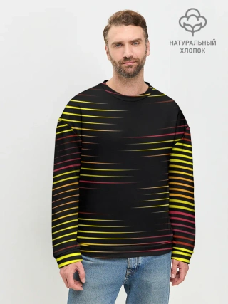 Мужской свитшот базовый / HORIZONTAL GEOMETRY