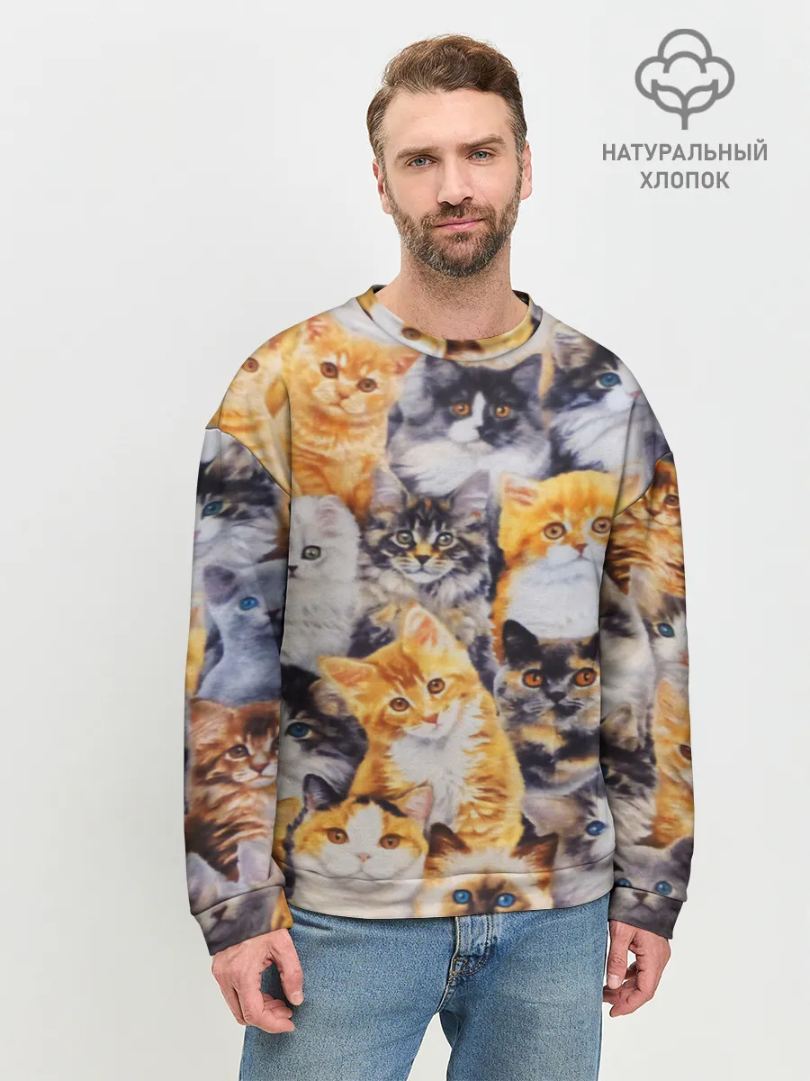 Мужской свитшот базовый / КОТЯТКИ